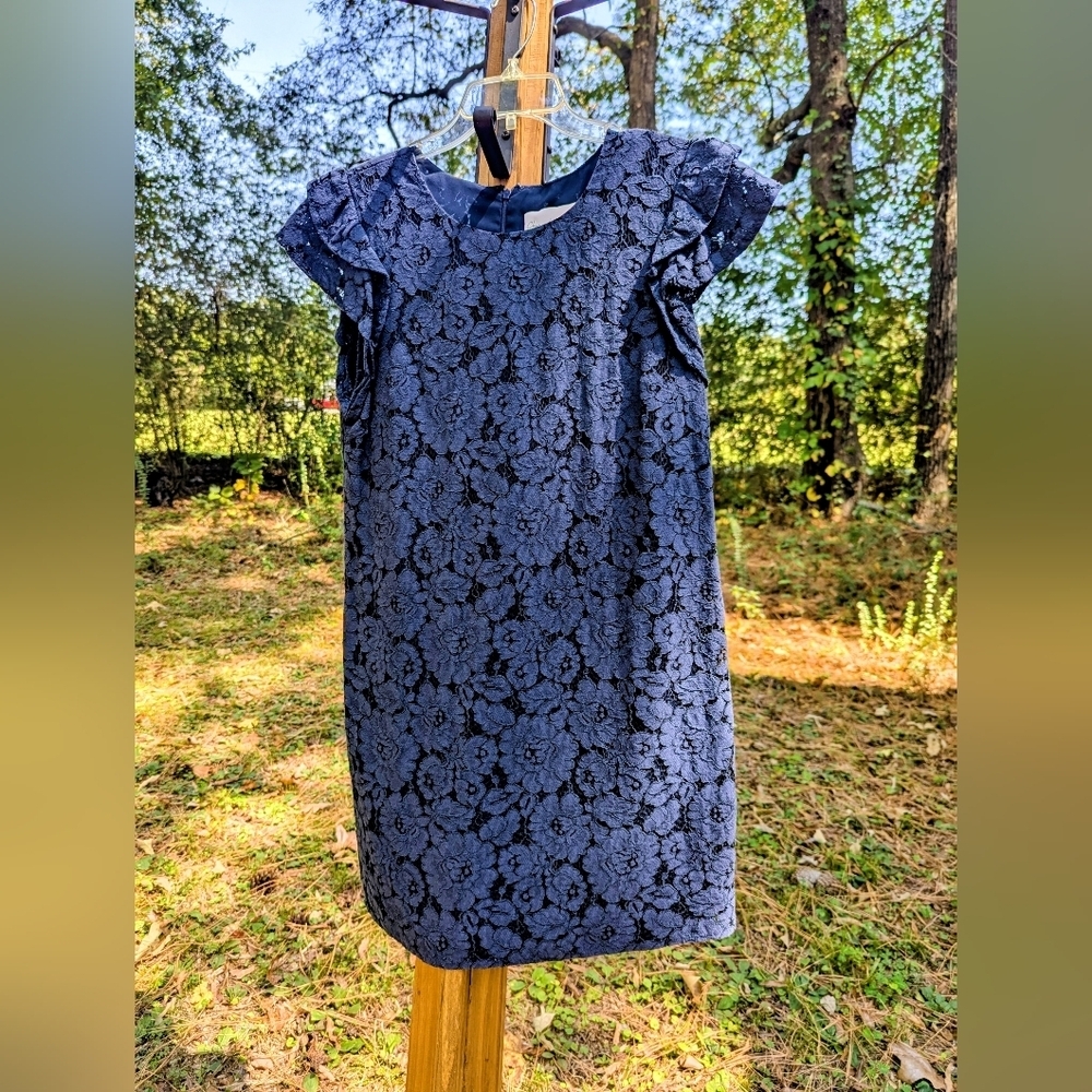 Like New Charles Henry Blue Lace Ruffle Arms Dress